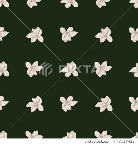 Contrast seamless pattern with white orchid flower ornament. Green background. Contrast seamless pattern with white orchid flower ornament. Green background. 77137422