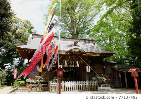 Sakura City, Chiba Prefecture, Magata Shrine and carp streamer Sakura City, Chiba Prefecture, Magata Shrine and carp streamer 77137482