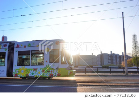 《Hiroshima City》 A tram that runs in the morning sun 77138106