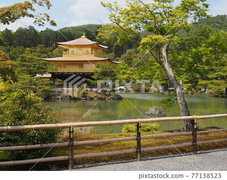 更換茅草屋頂後的春天金閣寺 更換茅草屋頂後的春天金閣寺 77138523