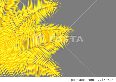 Yellow palm leaves on grey. Floral tropical background. Yellow and gray colors abstract cover design. Vector. 77138682
