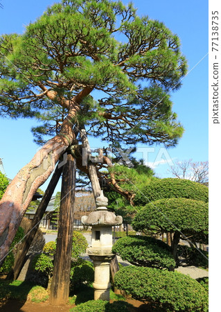西玉郡瑞穗町箱根崎 西玉郡瑞穗町箱根崎 77138735
