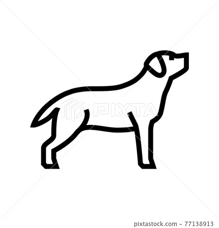 labrador retriever dog line icon vector illustration labrador retriever dog line icon vector illustration 77138913