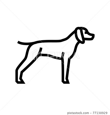 german shrothaired pointer dog line icon vector illustration 77138929
