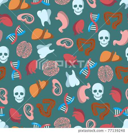 Internal human organs seamless pattern Internal human organs seamless pattern 77139248
