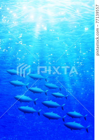 一群水下魚 一群水下魚 77139557