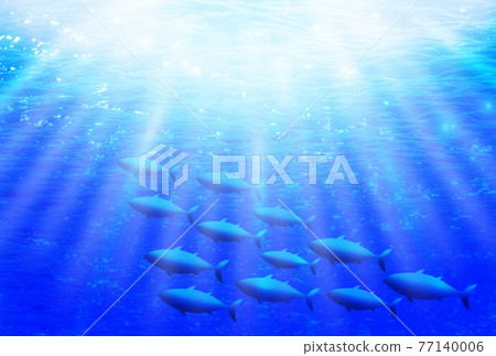 一群水下魚 一群水下魚 77140006