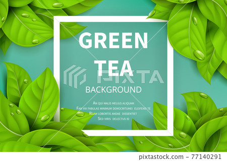 Green tea leaves nature background 77140291