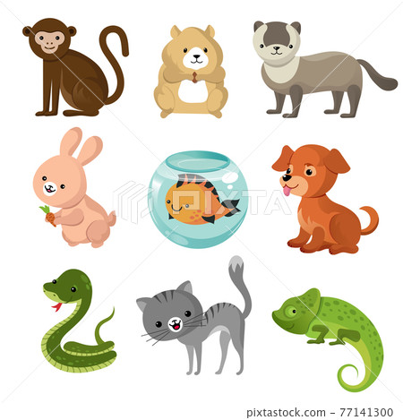 Cartoon cute home pets collection 77141300