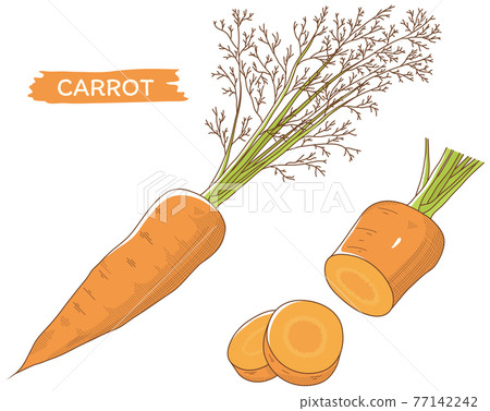 carrot carrot 77142242