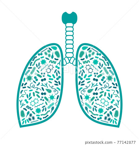 bacteria and virus in respiratory system bacteria and virus in respiratory system 77142877