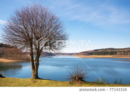 Dhunn water reservoir, Bergisches Land, Germany Dhunn water reservoir, Bergisches Land, Germany 77143326