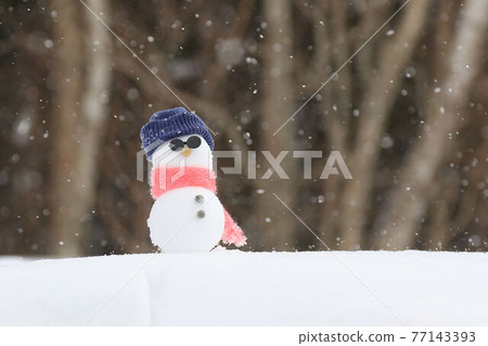 戴墨鏡的雪人 戴墨鏡的雪人 77143393