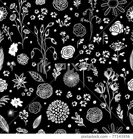 Monochrome background seamless texture of beautiful flowers. Vector illustration 77143956