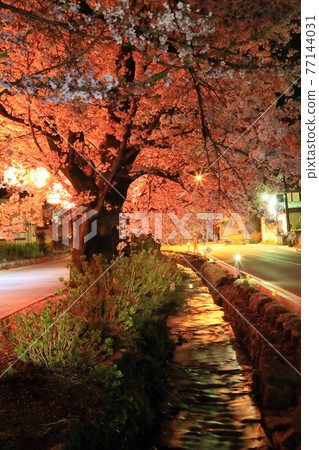 Kanra Town小畑夜景 Kanra Town小畑夜景 77144031