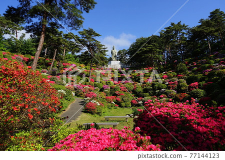 April Ome 70 Kannon Statue and Azalea Festival / Shiofune Kannonji Temple 77144123