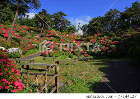 April Ome 66 Kannon Statue and Kannonike Azalea Festival / Shiofune Kannonji Temple 77144127