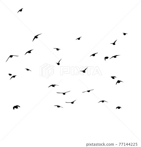 A flock of flying birds. Vector illustration 77144225
