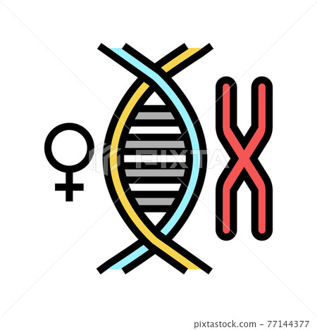 female chromosome genetic color icon vector illustration female chromosome genetic color icon vector illustration 77144377