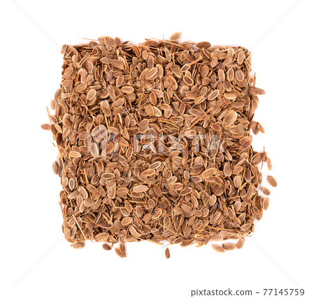 Dill seeds isolated on white background. Natural dry dill seeds. Anethum graveolens. Top view. 77145759