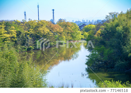從荒川岸到早春的濱沼川 77146518