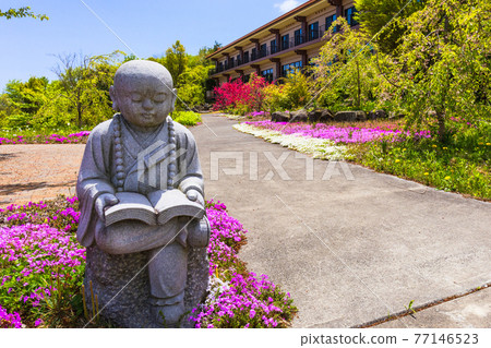 石佛和芝浦 77146523