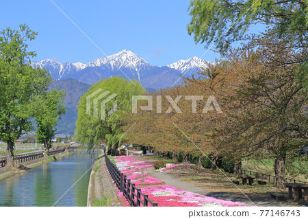 May in Azumino: Hida Mountains and the Northern Alps May in Azumino: Hida Mountains and the Northern Alps 77146743