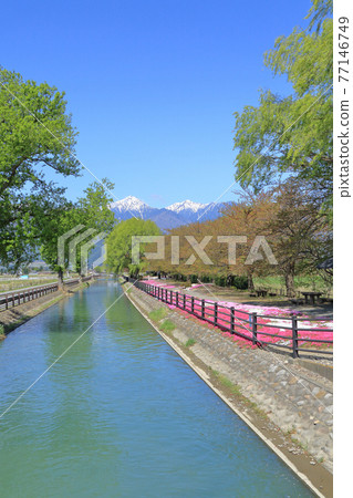 May in Azumino: Hida Mountains and the Northern Alps 77146749