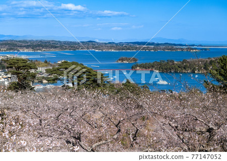 Matsushima, one of the three most scenic spots in Japan from Matsushima Park Matsushima, one of the three most scenic spots in Japan from Matsushima Park 77147052