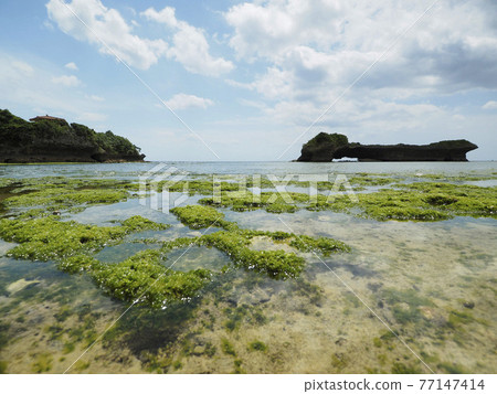 Iwaba_Toguchi Beach_Tomarigusuku Park (Toguchi, Yomitan Village, Okinawa Prefecture) 77147414