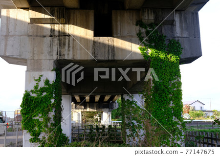 (Scenery of the surrounding city) The sunlight reflected on the pier (Scenery of the surrounding city) The sunlight reflected on the pier 77147675