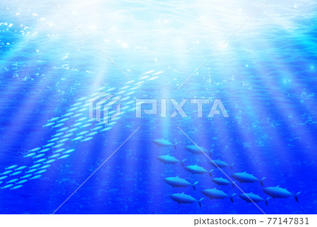 一群水下魚 一群水下魚 77147831