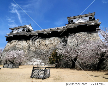 Matsuyama Castle North Corner Tower / Tenma Corridor / South Corner Tower Matsuyama Castle North Corner Tower / Tenma Corridor / South Corner Tower 77147962