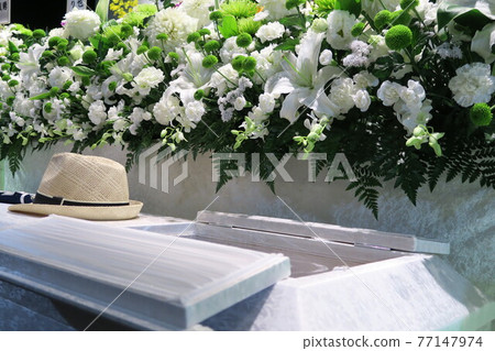 白綠花壇 77147974