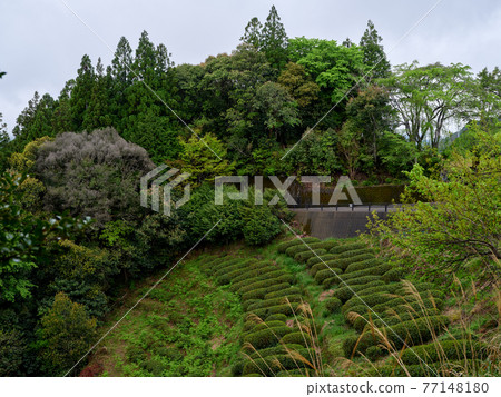Landscape of Satoyama 77148180
