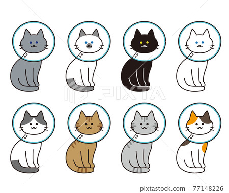 Full-body set of various cat breeds with Elizabethan collar 77148226
