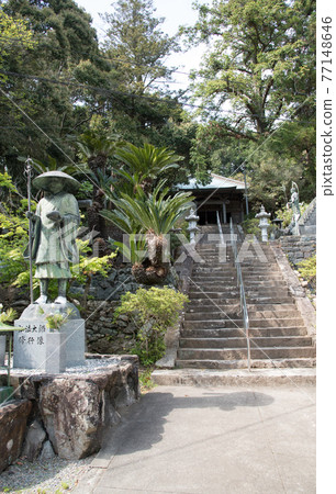 春天四國參拜寺 77148646