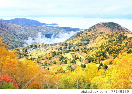 山田牧場秋葉 77149389