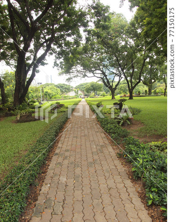 Stone pathway 77150175