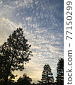 Autumn dusk with impressive clouds 77150299