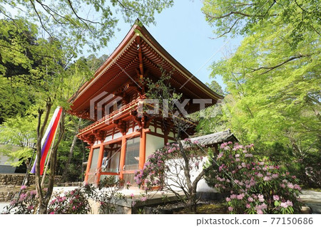 Muroji Temple的黑崎 77150686