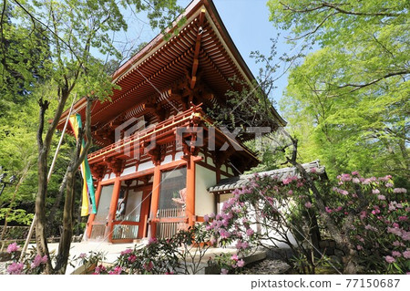 Muroji Temple的黑崎 Muroji Temple的黑崎 77150687