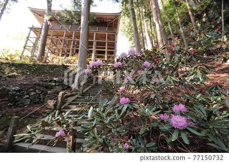 Muroji Temple的黑崎 77150732