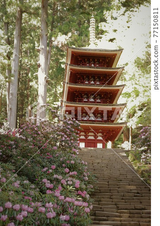 Muroji Temple的黑崎 Muroji Temple的黑崎 77150811