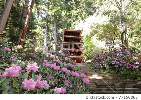 Muroji Temple的黑崎 Muroji Temple的黑崎 77150868