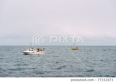 White fishing boats float in the coastal waters of Iceland 77152873