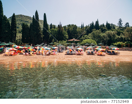 Many colored umbrellas on the royal beach in Przno against the backdrop of green trees 77152949