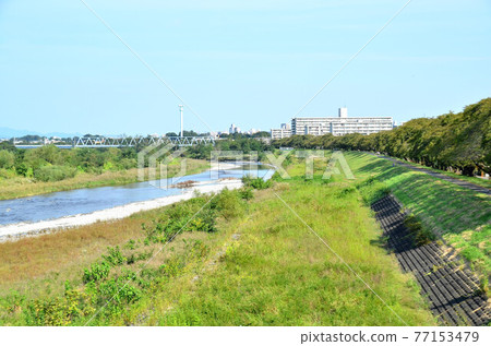 Looking upstream from Mutsumibashi / Tama River (Fussa City, Tokyo) [2019.10] 77153479