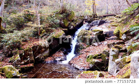 Utsue Forty-eight Waterfalls and Autumn Leaves in Gifu 77153728