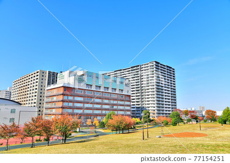 鹽入公園（東京都荒川區） [2020.11] 77154251